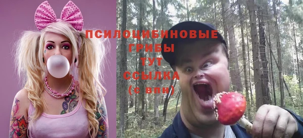 бошки Осташков