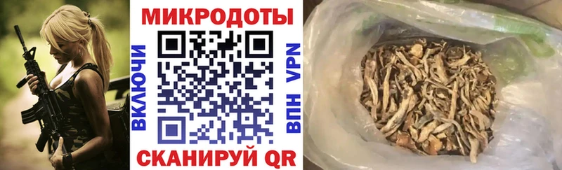 где купить   Канск  Галлюциногенные грибы Psilocybe 